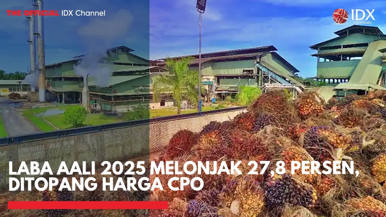 Laba AALI 2025 Melonjak 27,8 Persen, Ditopang Harga CPO | MARKET BUZZ