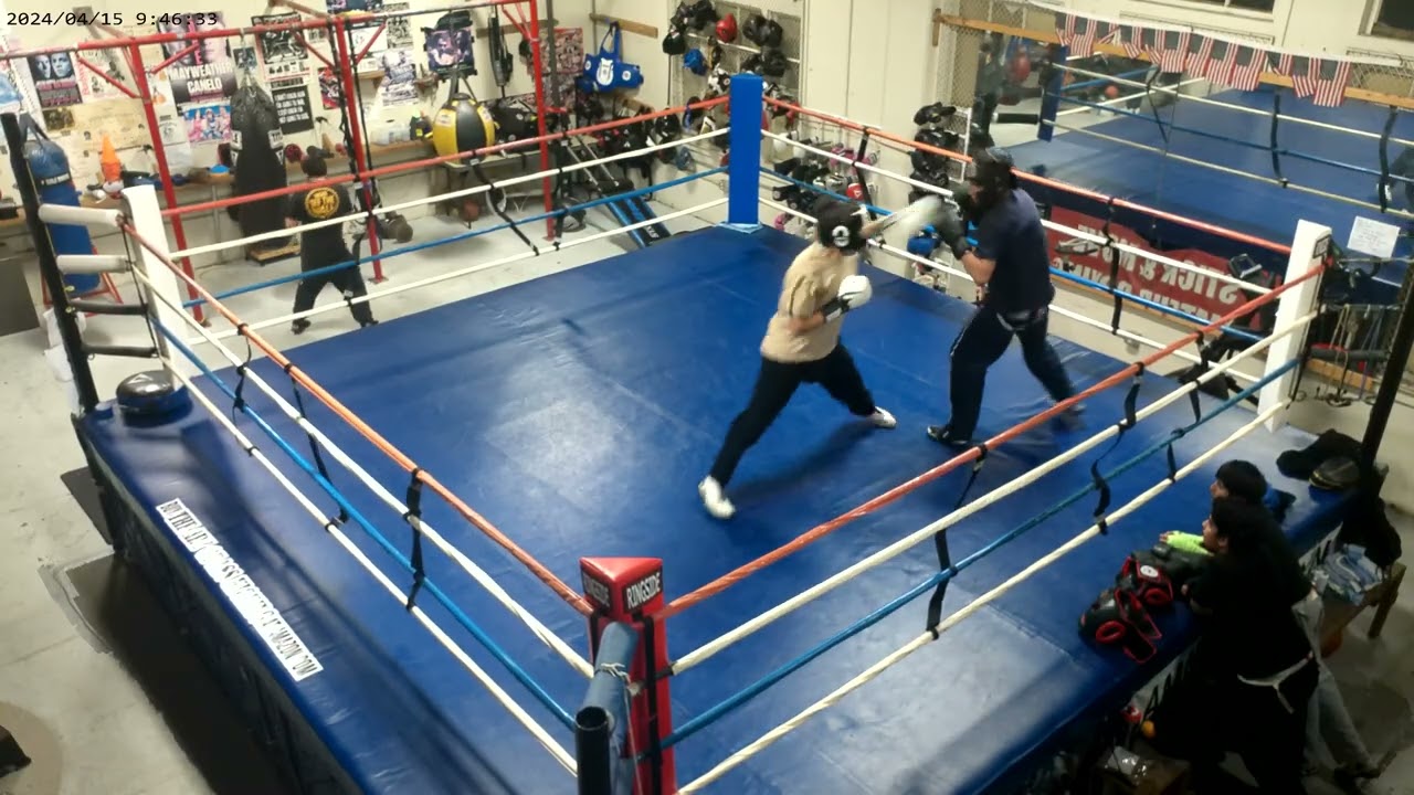 Sparring Night V#1 January 12-2026