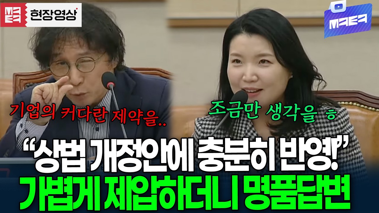 상법 개정안 공청회에 등장한 팩폭러, 가볍게 제압하더니 '명품답변'