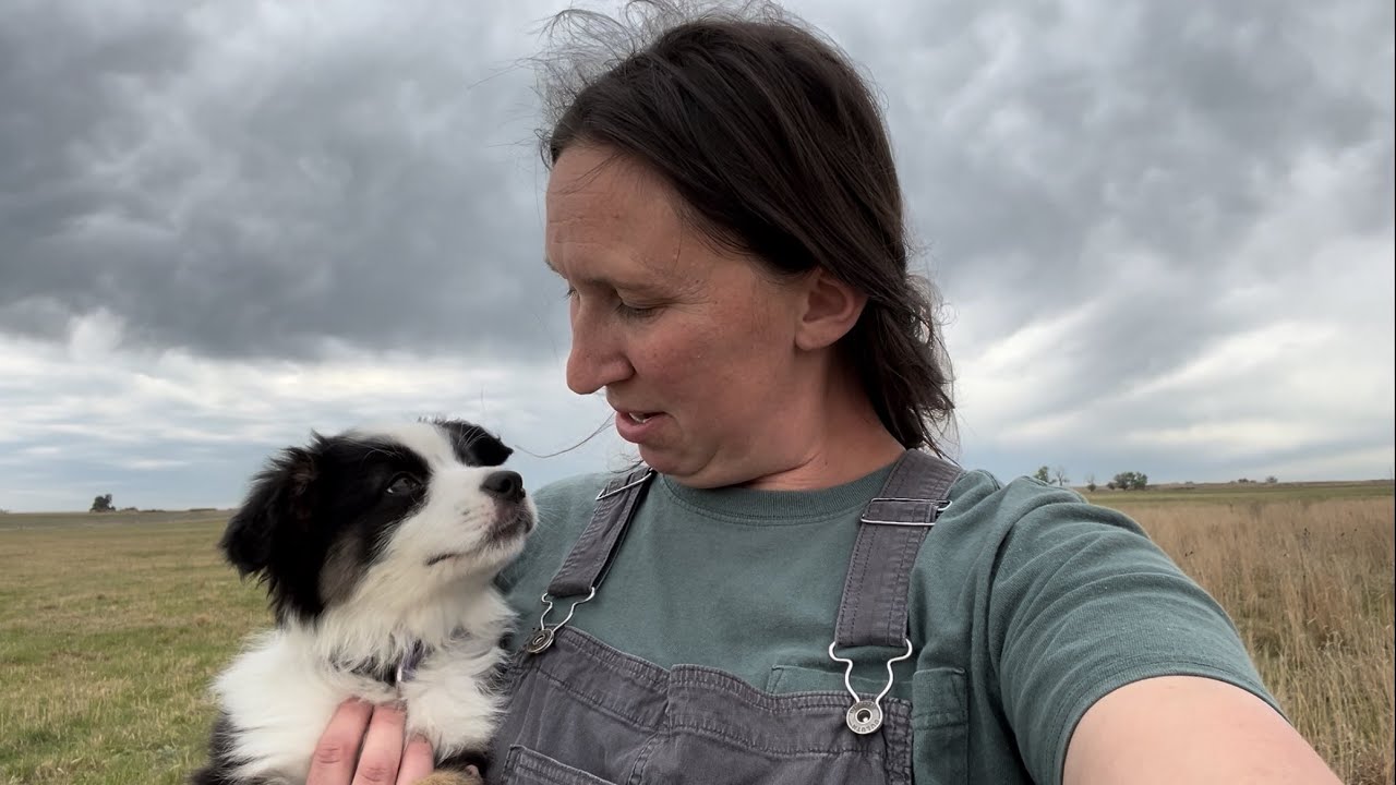 Shepherdess Report | Lamb Watch, Adding a Herding Dog, & Buying More Starkline Netting