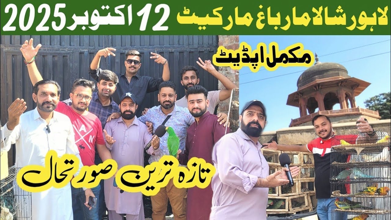 Sunday birds market shalimar bagh lahore 