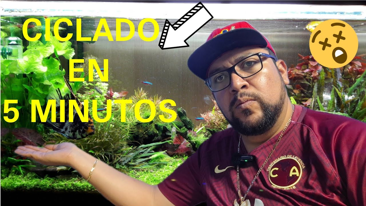 EL AGUA CICLADA EXISTE Y PUEDES CICLAR UN ACUARIO EN 5 MINUTOS