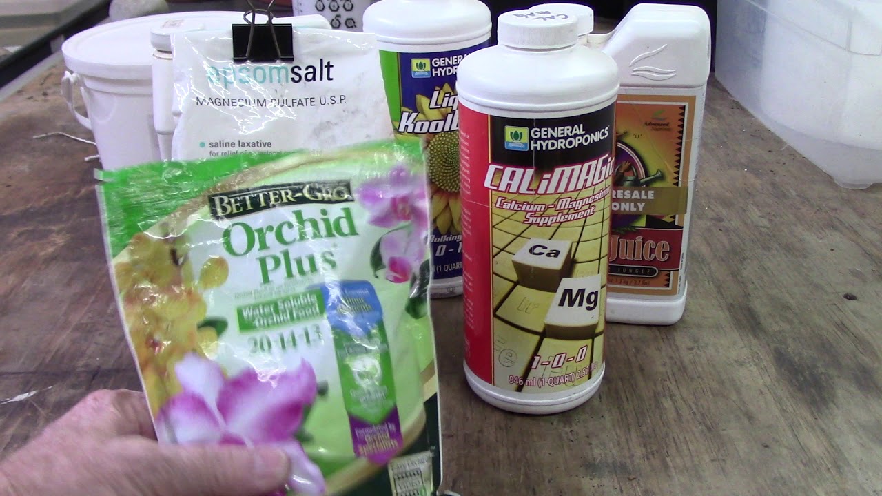 Orchids......Magnesium and Calcium supplements