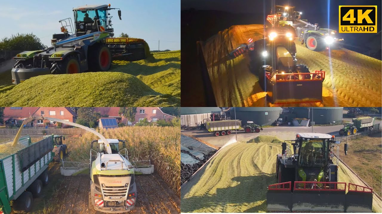 Claas Xerion 4000 Saddle Track am Mais schieben und verdichten + Maishäckseln mit Class Jaguar 970