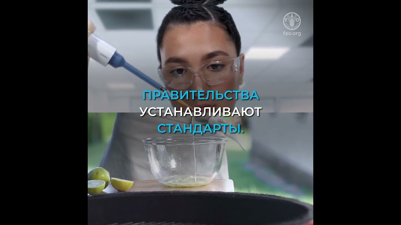 Что такое стандарты на пищевые продукты и почему они важны?