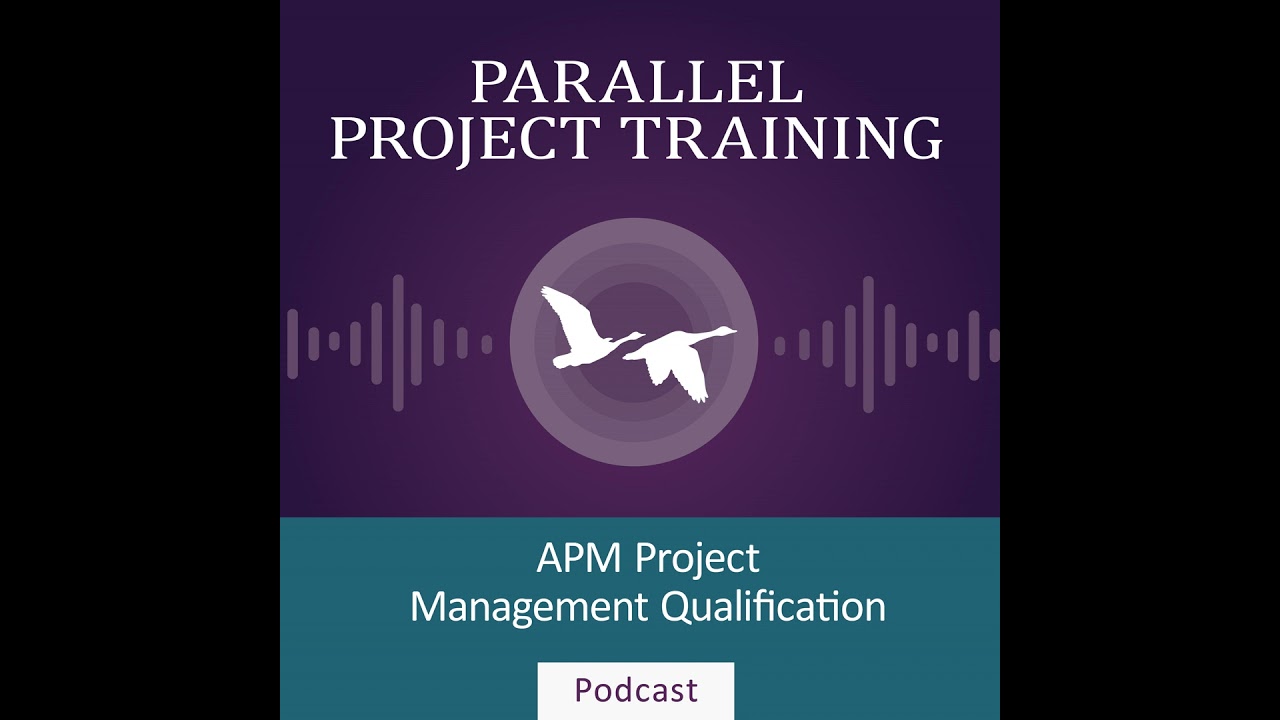 APM PMQ (2024) Управление ресурсами (LO21)