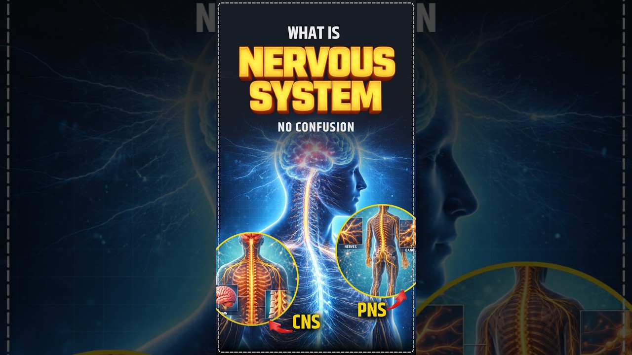 NERVOUS SYSTEM | SSC & RAILWAY GK 2026