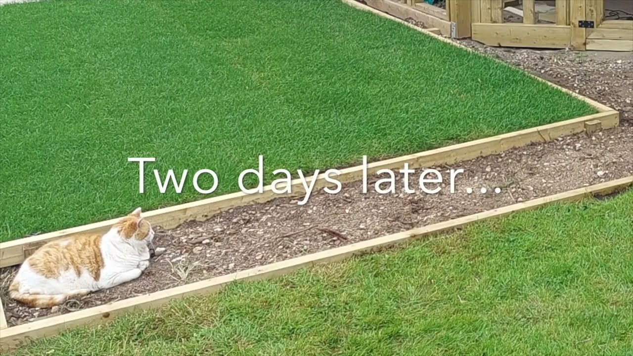 How to make a timber edged gravel path (and the easiest way to lay turf...)