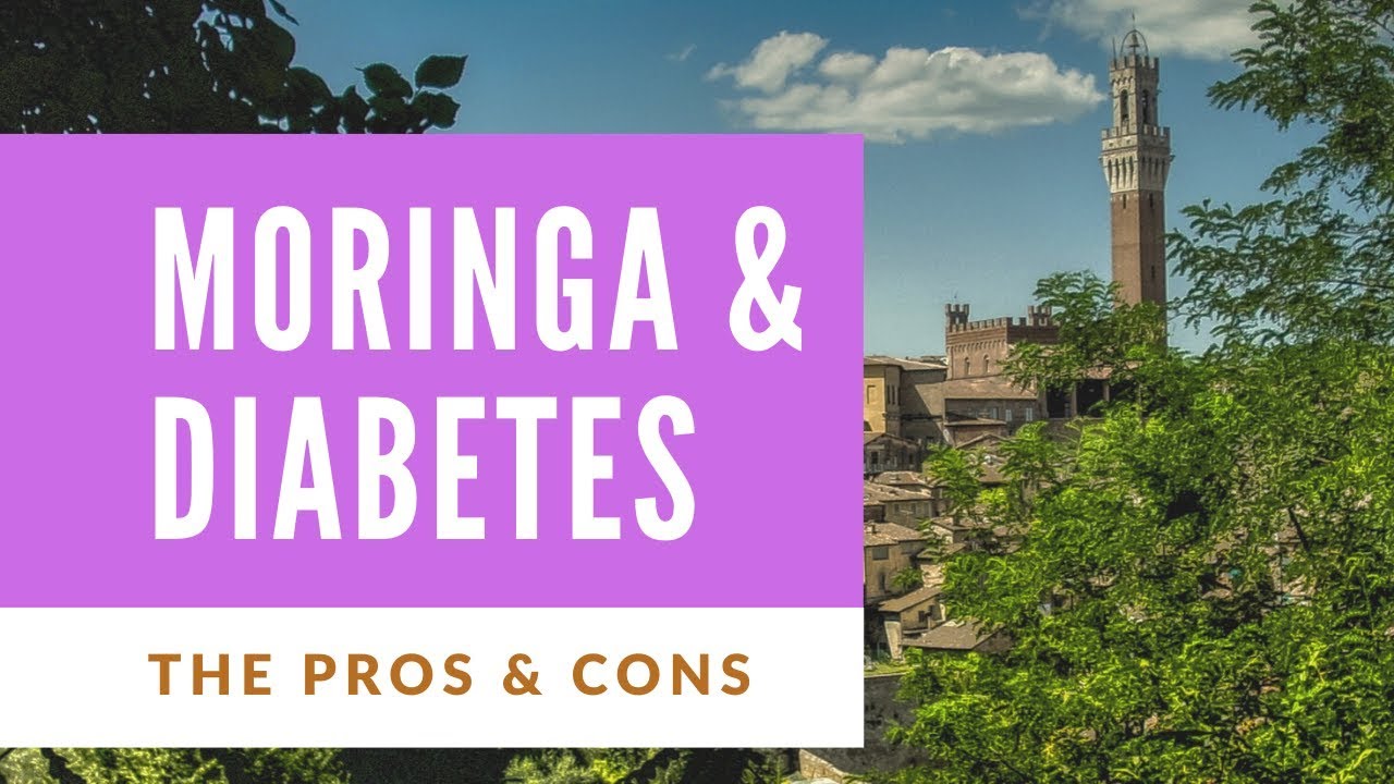 Can the Moringa Plant Lower Your Blood Sugar