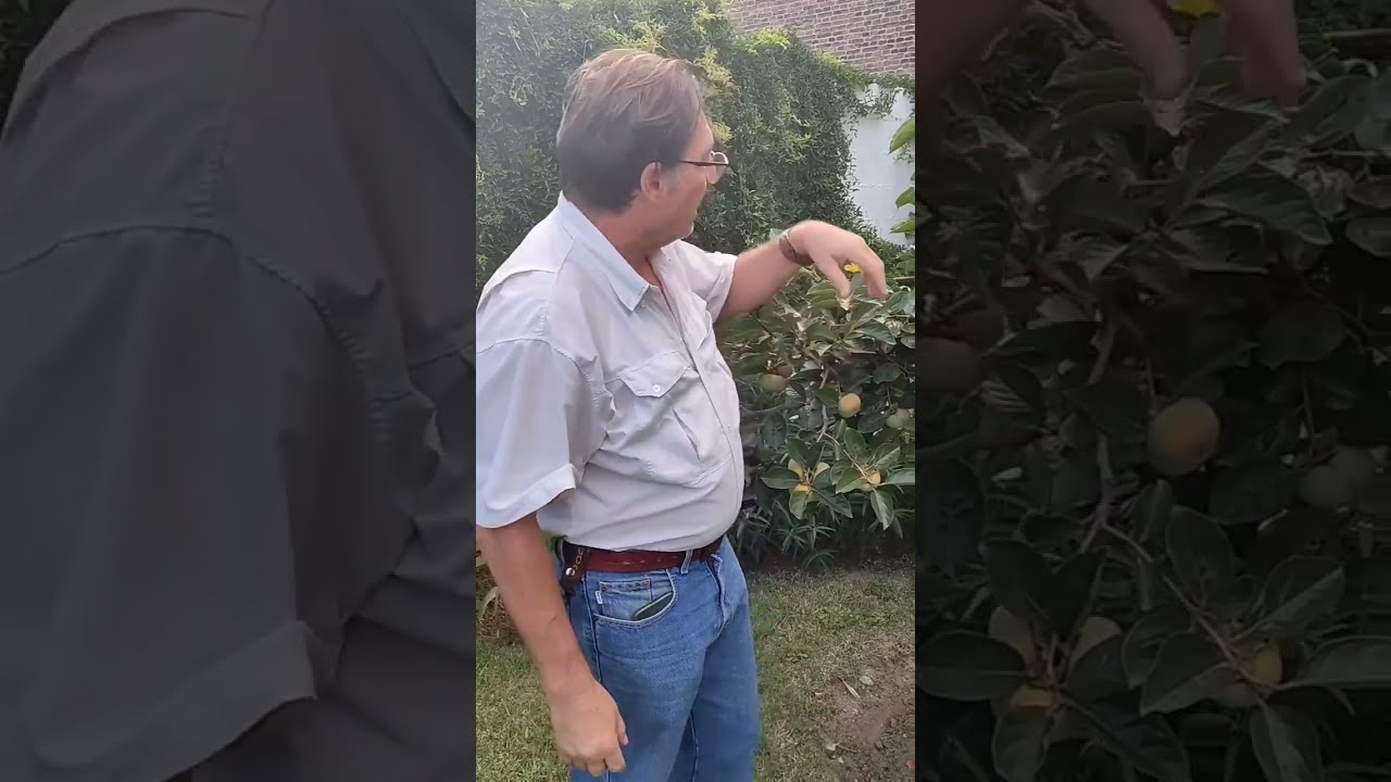 &iquest;Cu&aacute;l es la FRUTA🍑 m&aacute;s f&aacute;cil de cultivar?