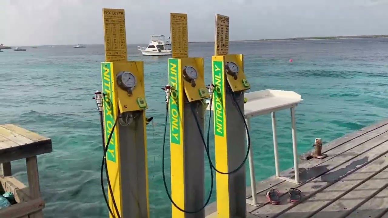 Buddy Dive Bonaire Tour and Walkabout