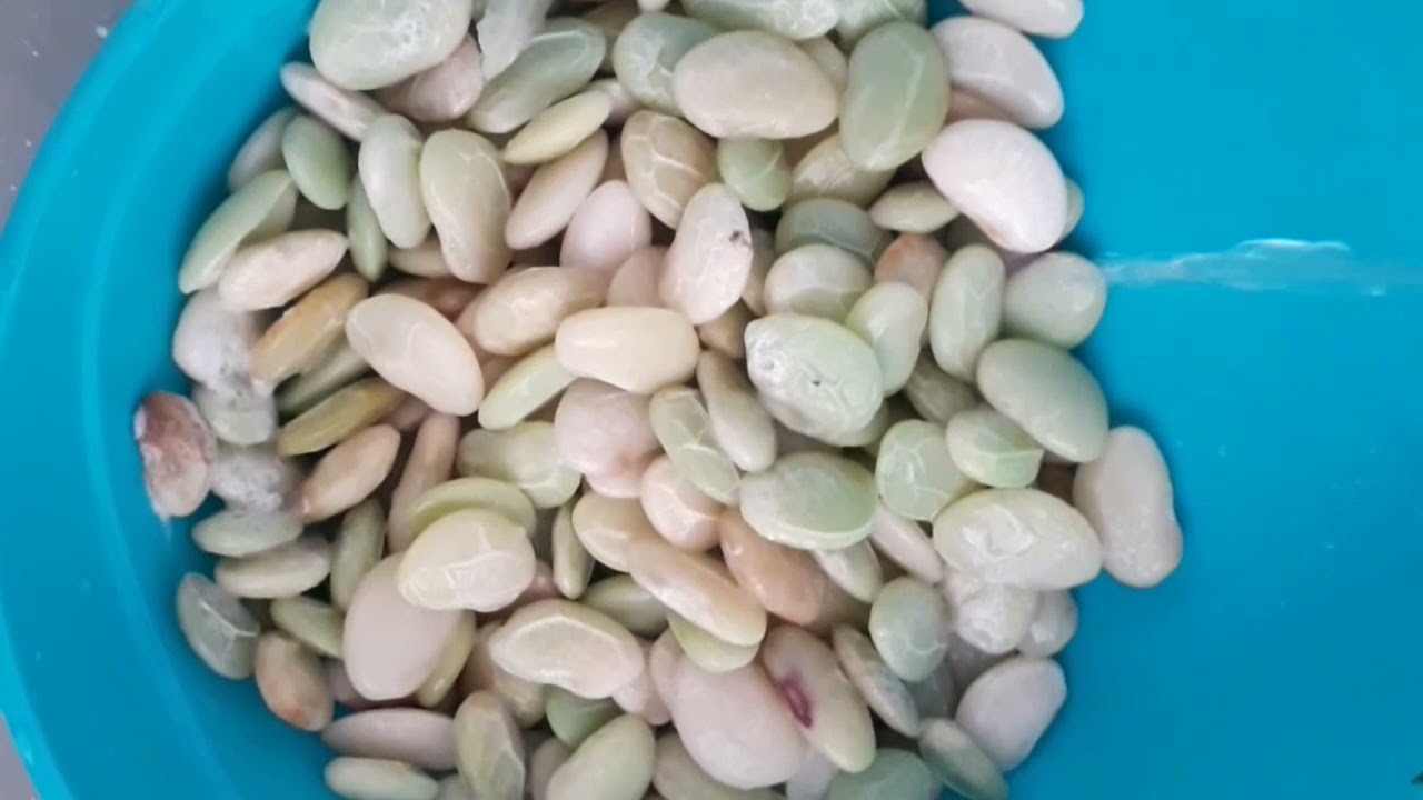 Como preparar fava verde 🍽 #comoprepararfava #receitafacil #comidanordestina