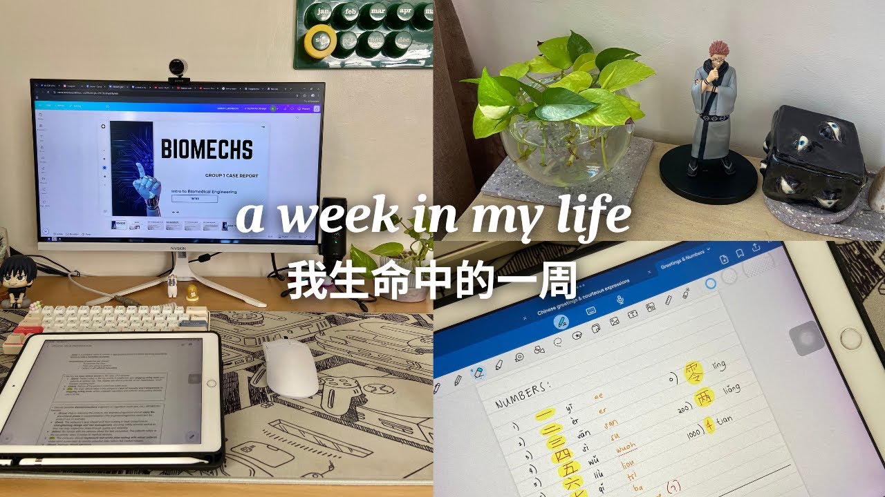 A week in my life | productive days, baking, rainy season | 视频博客