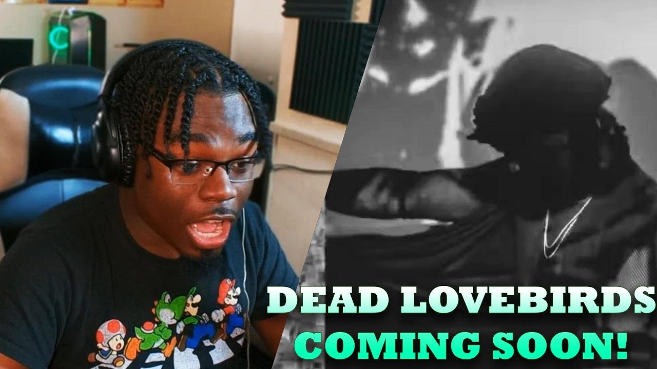 СЮРПРИЗ!!! | VI Seconds - Dead Lovebirds Don't Sing (Официальный аудиоклип) РЕАКЦИЯ
