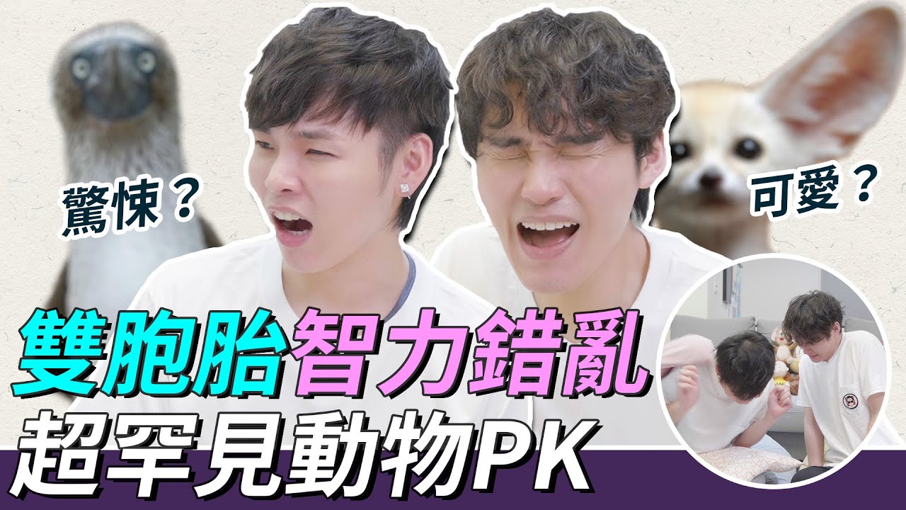 超罕見動物PK 可愛、驚悚猜到雙胞胎智力錯亂。｜這群人展榮展瑞 #言行考打