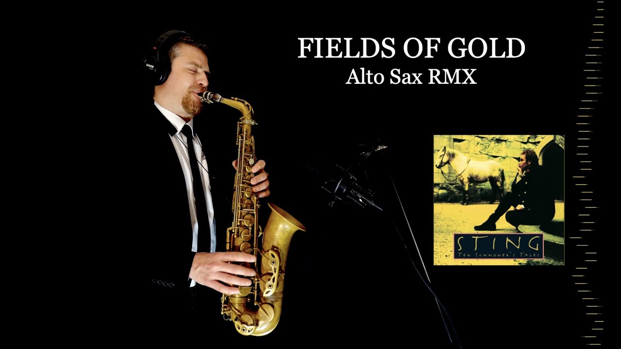 FIELDS OF GOLD - Sting - Alto Sax RMX - Free score