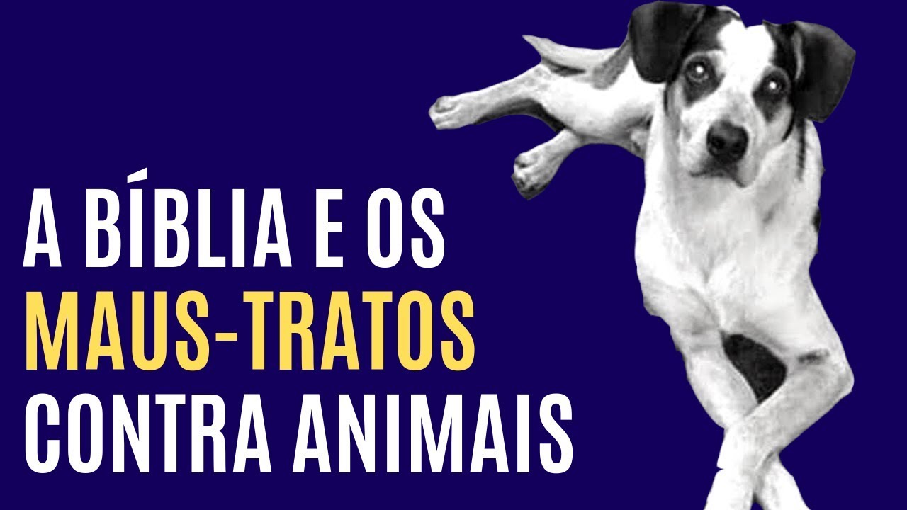 a Bíblia e os maus-tratos contra animais - Leandro Quadros - Caso Carrefour - IASD