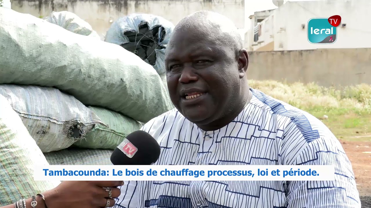 Tamba: Cherté du charbon de bois à cause de l'interdiction de la coupe de bois