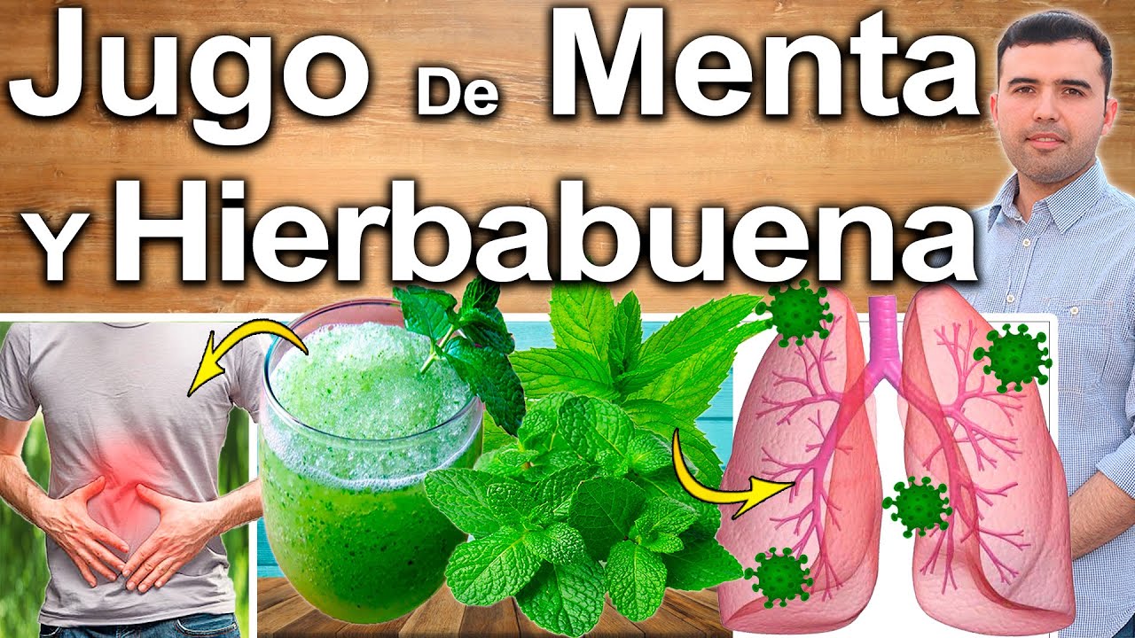 QUE EL MUNDO LO SEPA! JUGO DE MENTA Y HIERBA BUENA &iquest;Para Qu&eacute; Sirve? - Beneficios Para Tu Salud