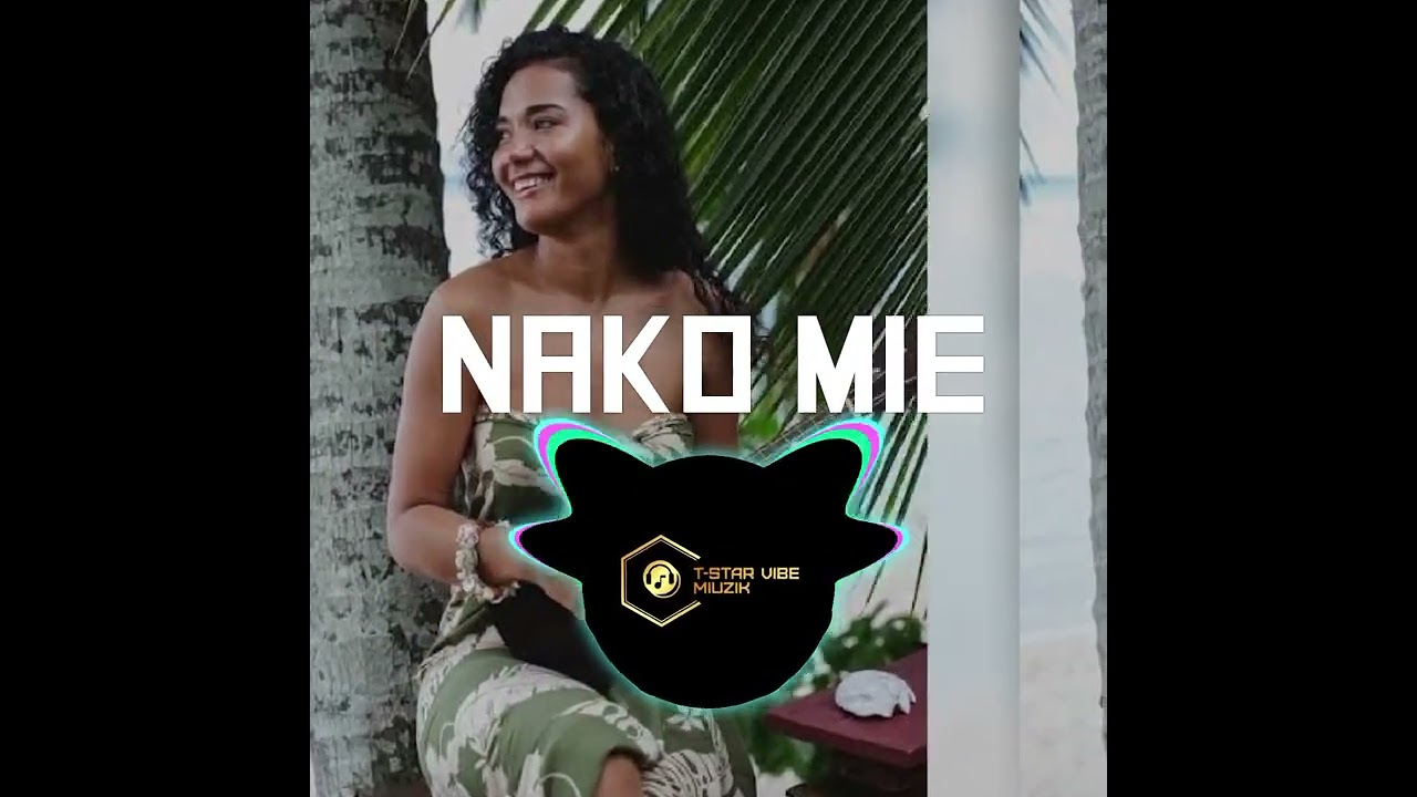 NAKO_MEI_Audio_2k26 🇸🇧 [ T-star vibe miuzik ]