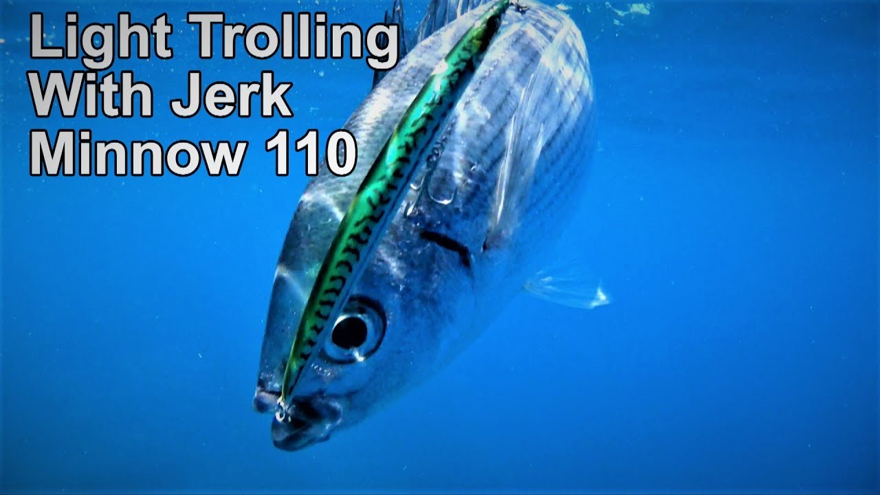 Легкий троллинг с Sandeel Jerk Minnow 110. Супер улов в конце!