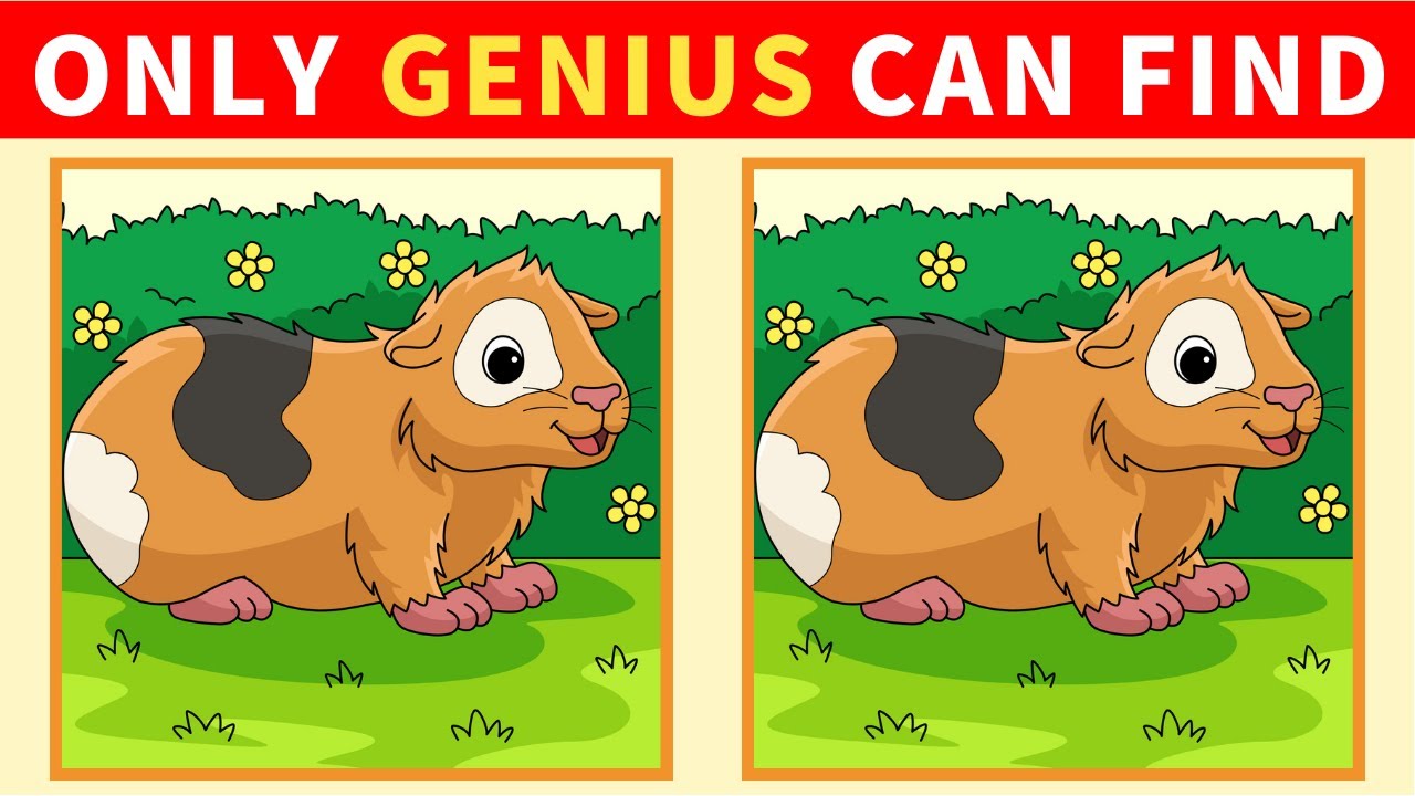 【Spot the Difference】❗️Uncover Your Brain's Age with Japanese Puzzle【Find the Difference】
