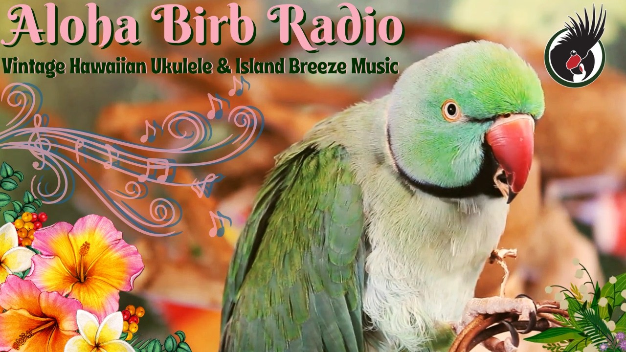 ✨Twilight Nest Radio🌿24/7 Soft Gentle Rain Forest Sounds & Zen Music for Anxious Birds🕊️Bird Room TV
