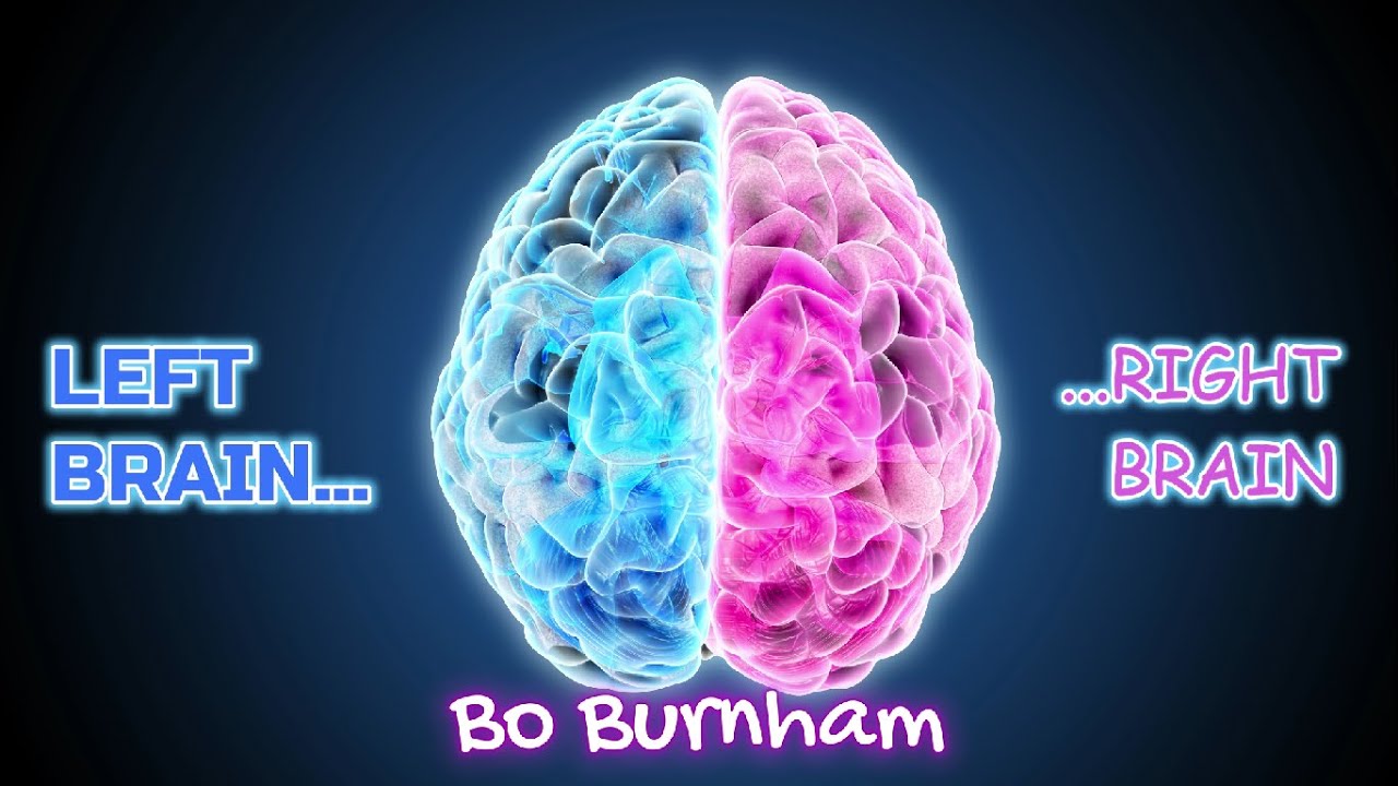 Left Brain Right Brain KARAOKE | Bo Burnham (Computer voice included)