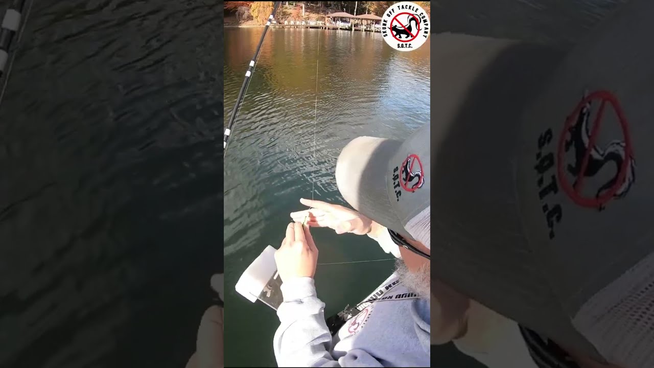 How to use planer boards for striper fishing 