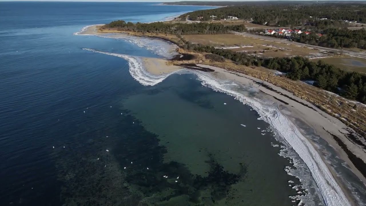 Sigvards Paviken 260203