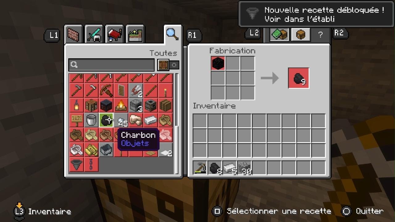 Je fais ma première vidéo Minecraft.