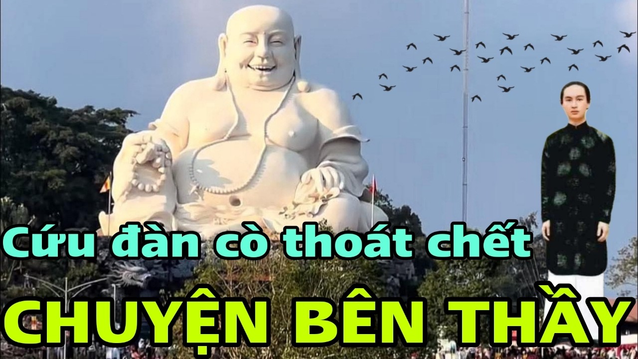PGHH - Chuyện bên thầy mới nhất cứu đàn cò thoát chết khỏi tay xạ thủ viên chủ quận Tân Châu