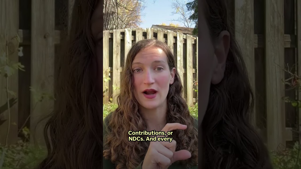 COP30: What are NDCs and why do they matter?