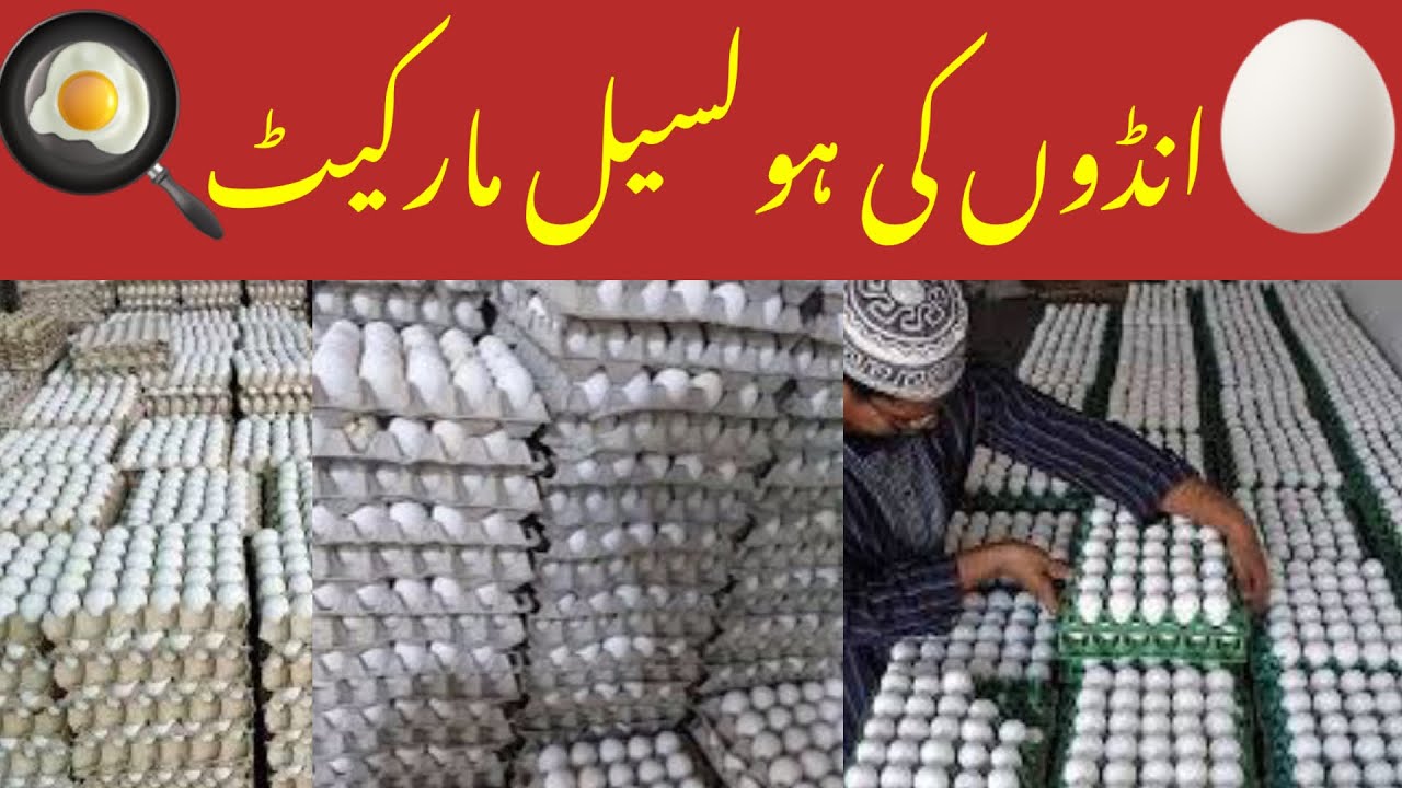 Egg Wholesale Market In Karachi | Fresh Eggs | Desi Eggs Market