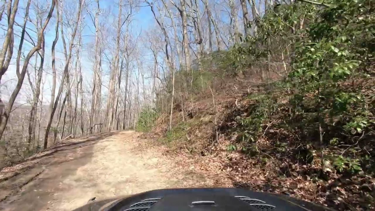 Cooper's Creek WMA