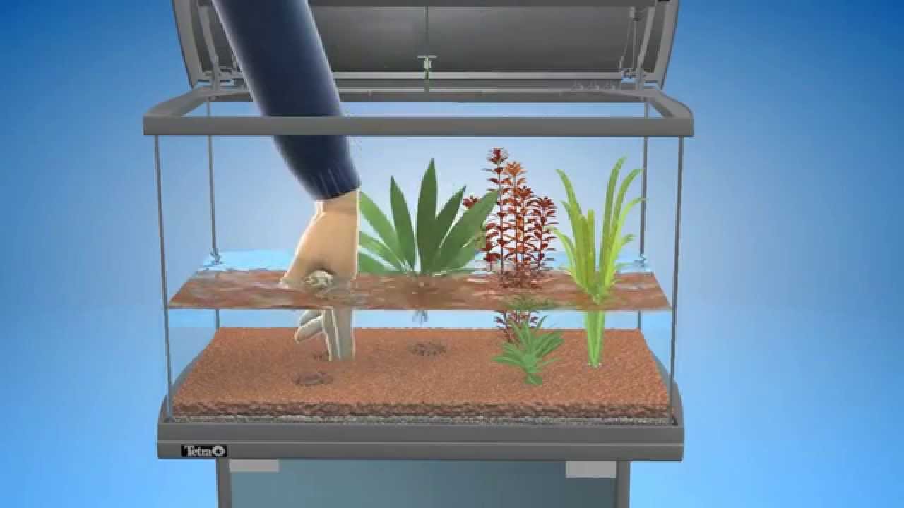 Tetra Aquarium plant set-up