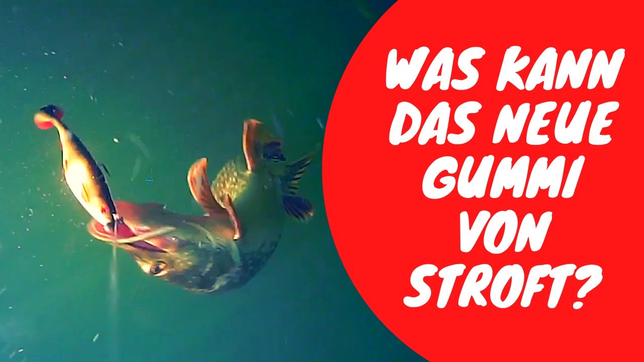 Stroft Predator P18 im Test &ndash; Was kann der neue Gummifisch?