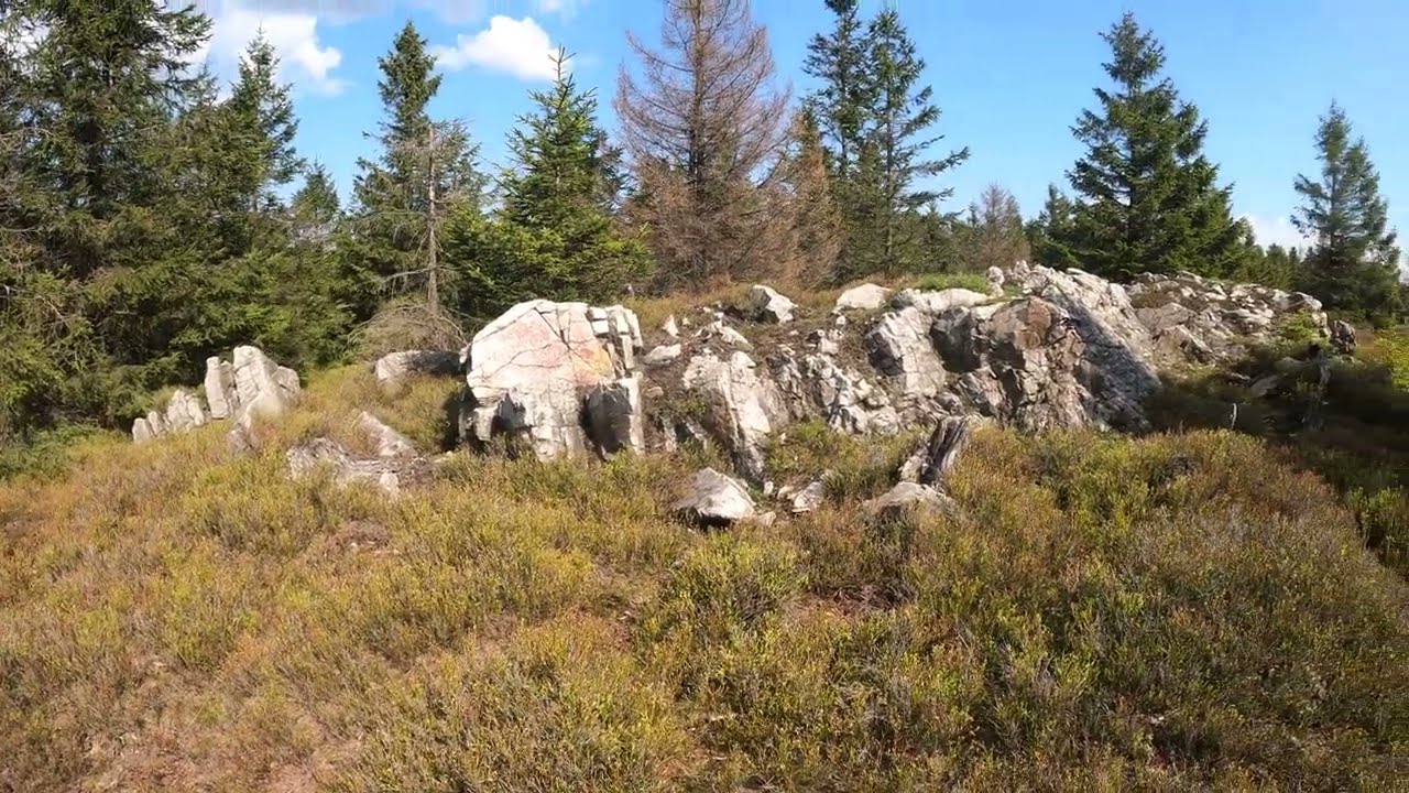 Lost Places im Hochharz: Verlorene Klippe am Fastweg auf dem Acker