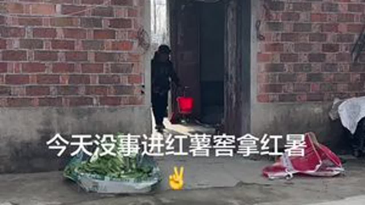 #农村老家 #我的乡村生活 #种地人 #新农人计划