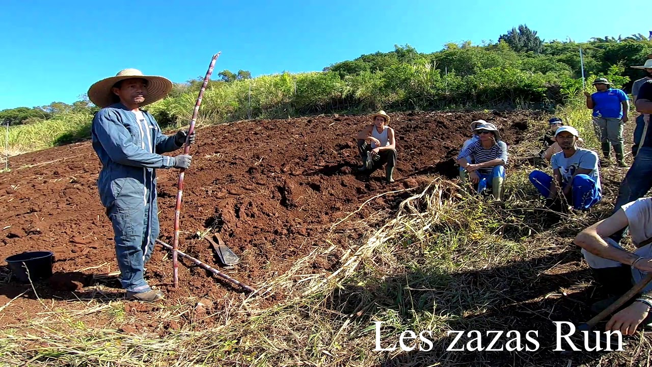 Episode 9/Passe ton BPREA d'abord / La Canne à sucre #BPREA