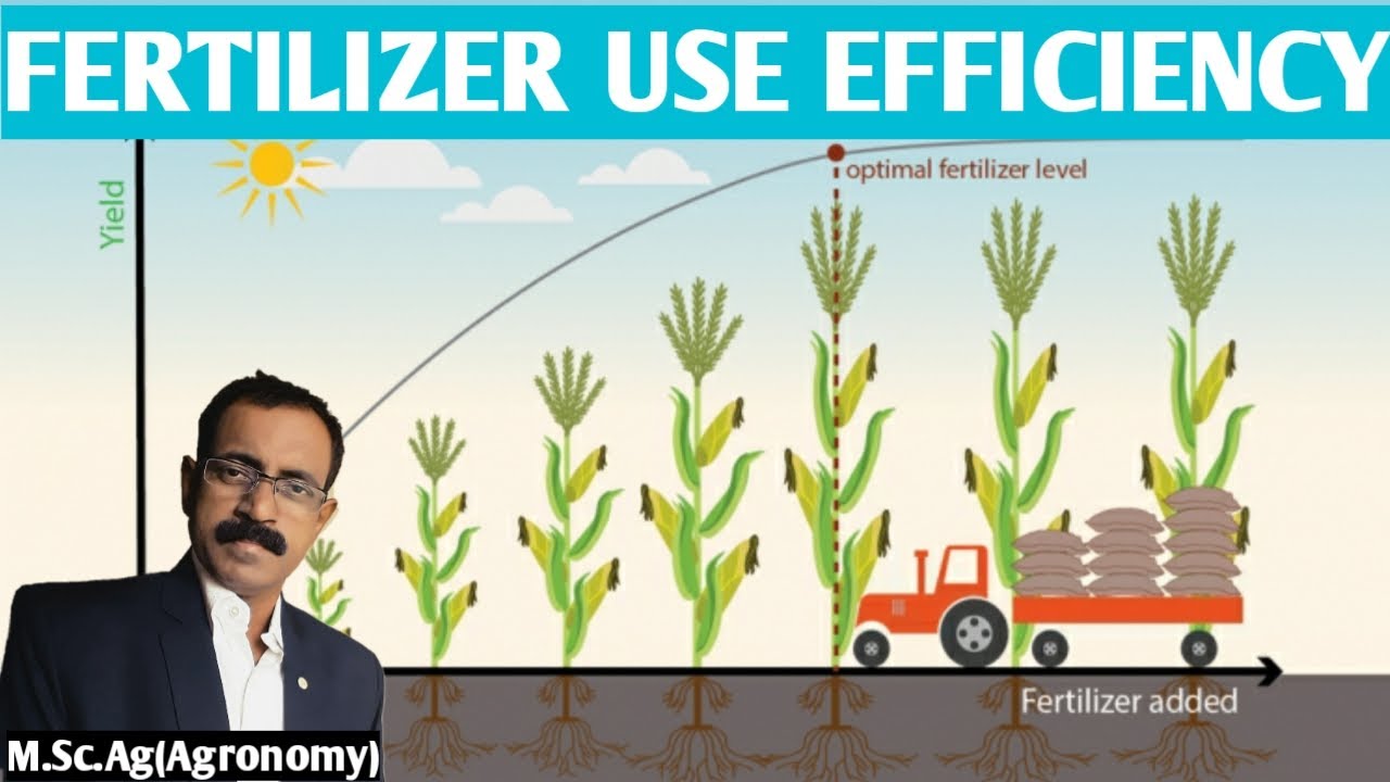FERTILIZER USE EFFICIENCY