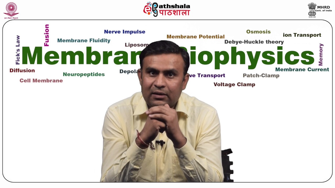 Osmosis (pressure, Osmotic equilibrium, Donnan equilibrium, flow of water & solute), Electroosmosis