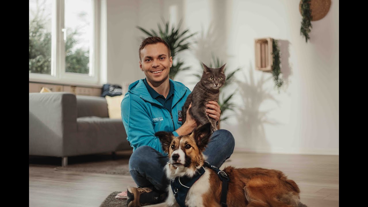 Hund & Katze Zusammenführung