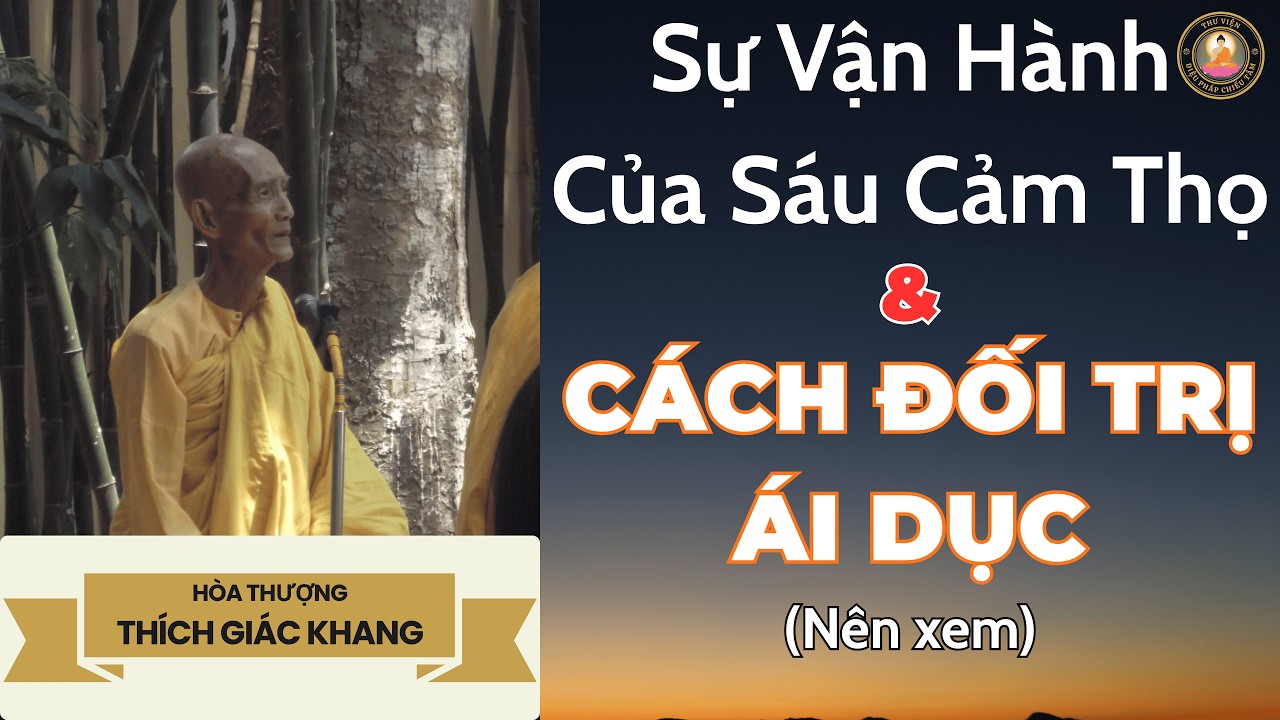 Sự Vận Hành Của Sáu Cảm Thọ & Cách Đối Trị Ái Dục | Sư Giác Khang