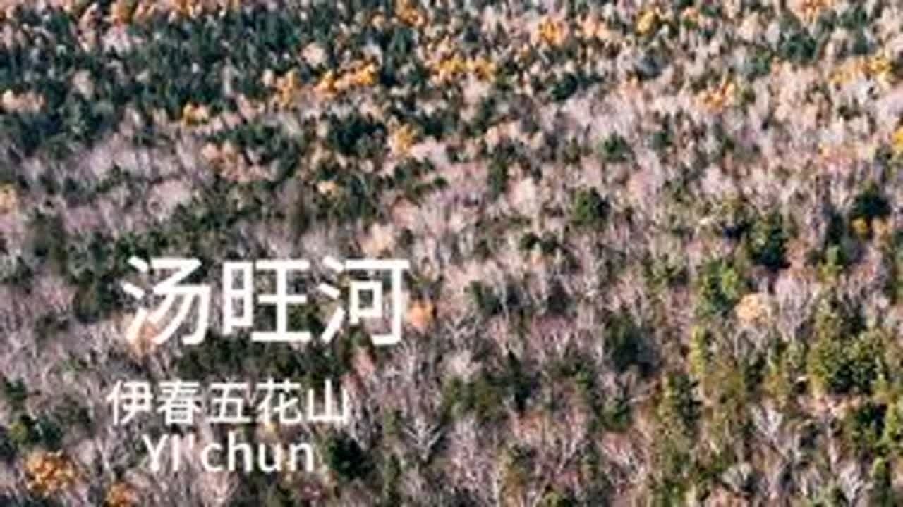 翻山越岭的汤旺河 兴安岭的秋色永远不会缺席#秋天 #伊春旅游攻略 #汤旺河林海奇石风景区