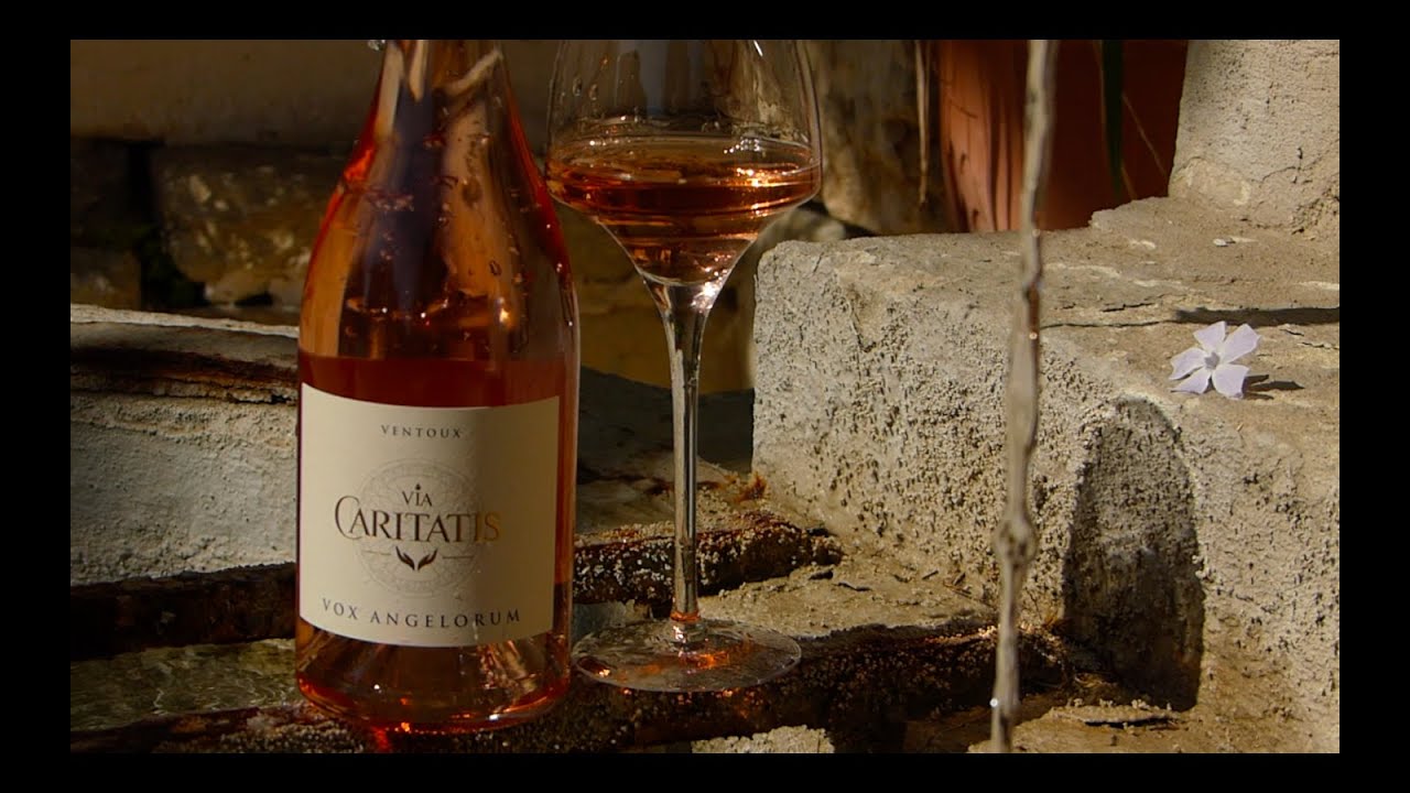 Les Rosés Caritatis : deux étoiles dans le ciel de Provence