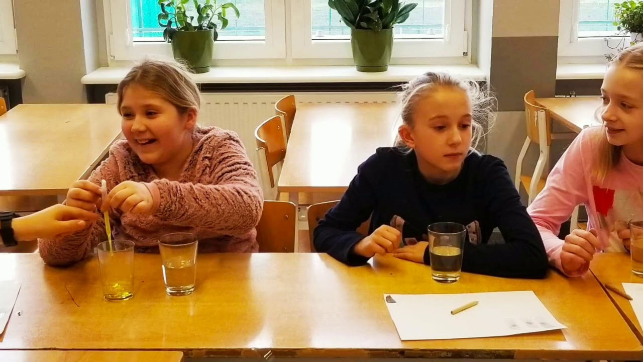 Projekt 