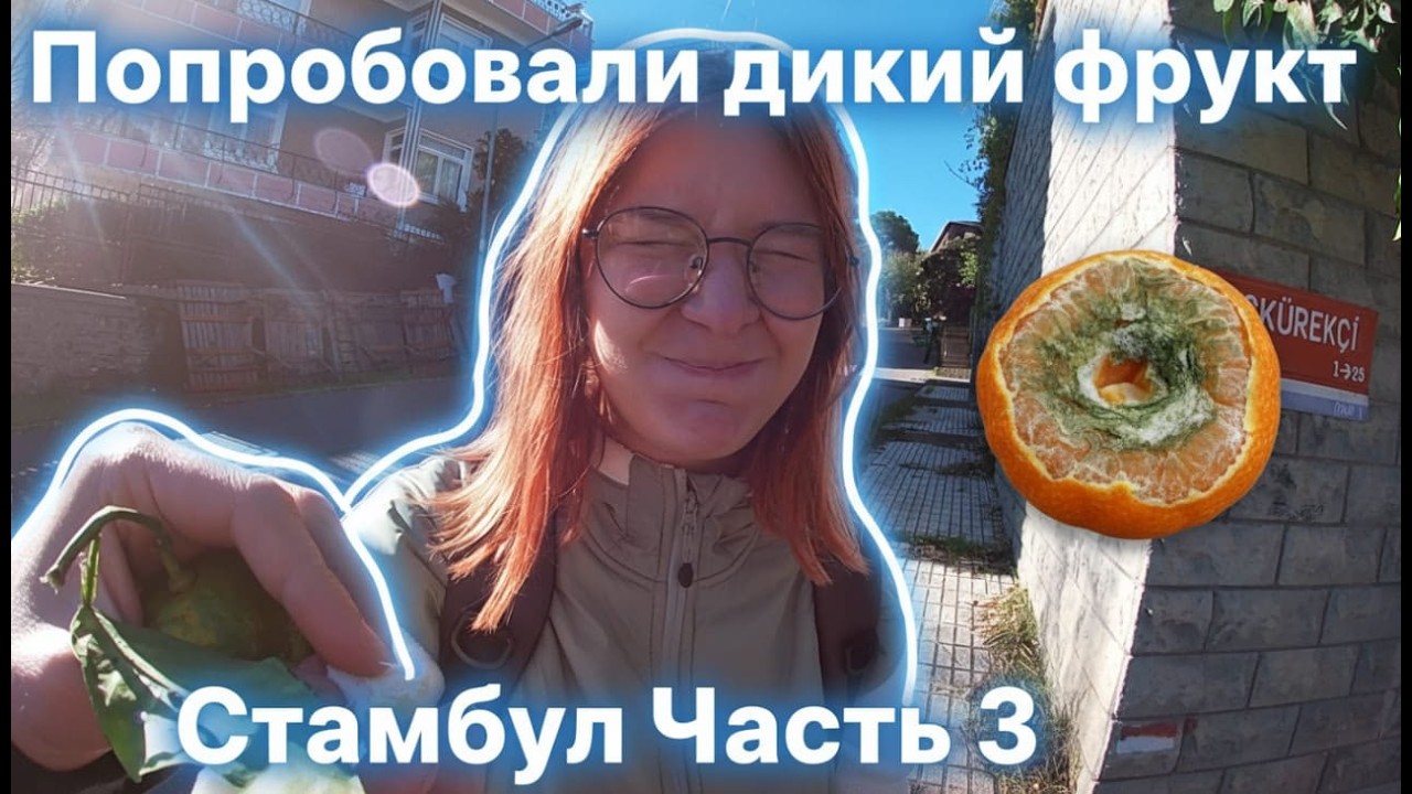Стамбул Часть 3. Чуть не отравились диким фруктом на острове Принца
