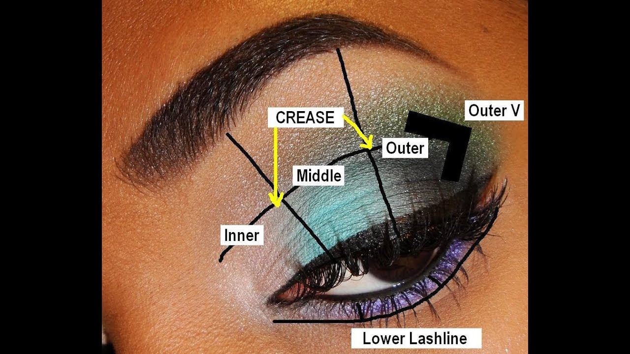 💥 BACK-TO-BASICS 💥 Parts of the Eye & Eyeshadow Placement for BEGINNERS!