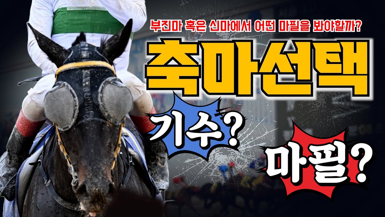 경마 최대고민!! 축마 어떻게 잡아야 하나??(부진마 혹은 신마인 경우)#박수홍경마#축마잡는법#부진마경주